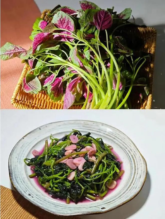 500PCS Red Green Amaranth Spinach Seeds Amaranthus Tricolor Asian Vegetable Seeds