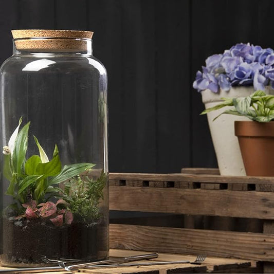 Esschert Design AGG70 Wide Mouth Terrarium Large Bottle, 8.3 Liter, Glass