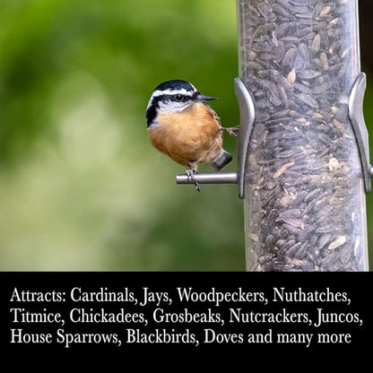 Desert Valley Striped Sunflower Seed, All Natural, Non-GMO Premium Wild Bird and Wildlife Food for Cardinals, Jays, Grosbeaks, Squirrels and More (3 Pounds)