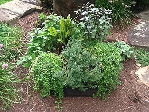 3ft X 3ft Victory 8 EZ-GRO MD SQ Raised Bed AeroFlow Proprietary Fabric Grow Your OWN No Assembly