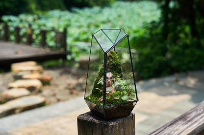 FISCRAT Tabletop Glass Terrarium -5"x5"x10.8" Black Metal Frame Indoor Plant Display Container with Openable Door, Low Maintenance Succulent Ecosystem, Space Saving Art Decor (Plants Not Included)