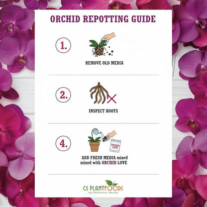 GS Plant Foods Orchid Love – Dry Fertilizer – Supports Balanced Nutrition, Root Zone Conditions & Media Health for All Types (12 oz)