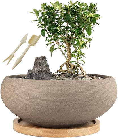 MUZHI Round Unglazed Ceramic Bonsai Pot with Bamboo Tray, Large Rough Pottery Succulent Planter with Drainage Hole 8 inch … (8”)