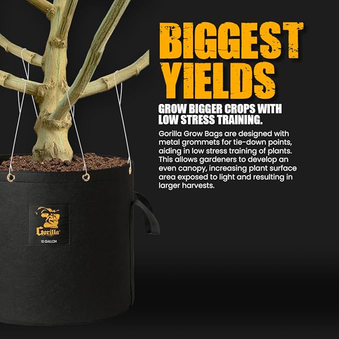 Gorilla 7 Gallon Grow Bags, Toughest Reusable Fabric Pots, Tallest True Gallon Sizes with Biggest Volume, Thickest 600g Fabric PVC and BPA Free, Reinforced Handles & Metal Tie Down Grommets, Black