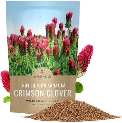 Crimson Clover Seeds for Planting – Bulk 1 Pound Bag – Over 80,000 Open Pollinated Non-GMO Seeds – Trifolium incarnatum