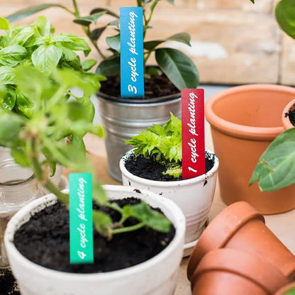 300 Pcs Plant Labels，6 Colors 4 Inch Plastic Plant Name Tags for Seedlings Garden Labels Markers Nursery Waterproof Plant Tags Seed Labels Plant Markers