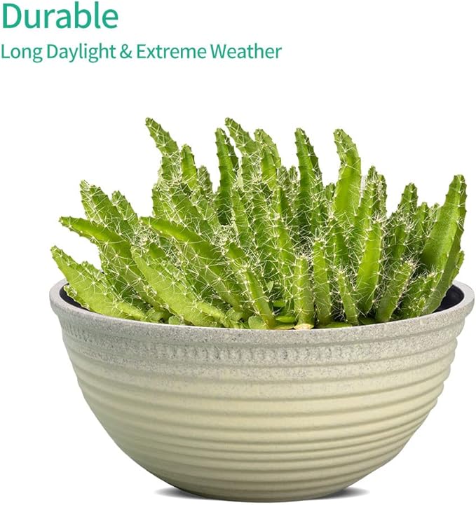 2 Pack 10 Inch Plant Pots,Durable Decorative Flower Pots Planters with Drainage Hole for Indoor and Outdoor Plants,Flowers,Succulents, White