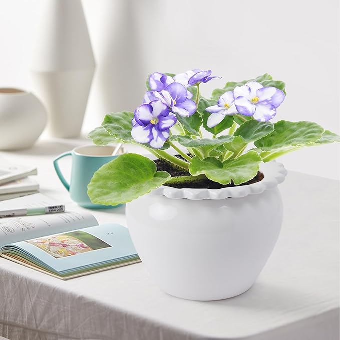 2pcs 6.5 * 4.6 * 4 inch White African Violet Flower Pot Ceramic Self Watering Flower Pot Simple Plant Self Watering Pot Indoor Flowers High Absorption Herbaceous Flower Pot