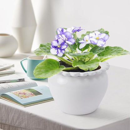 2pcs 6.5 * 4.6 * 4 inch White African Violet Flower Pot Ceramic Self Watering Flower Pot Simple Plant Self Watering Pot Indoor Flowers High Absorption Herbaceous Flower Pot