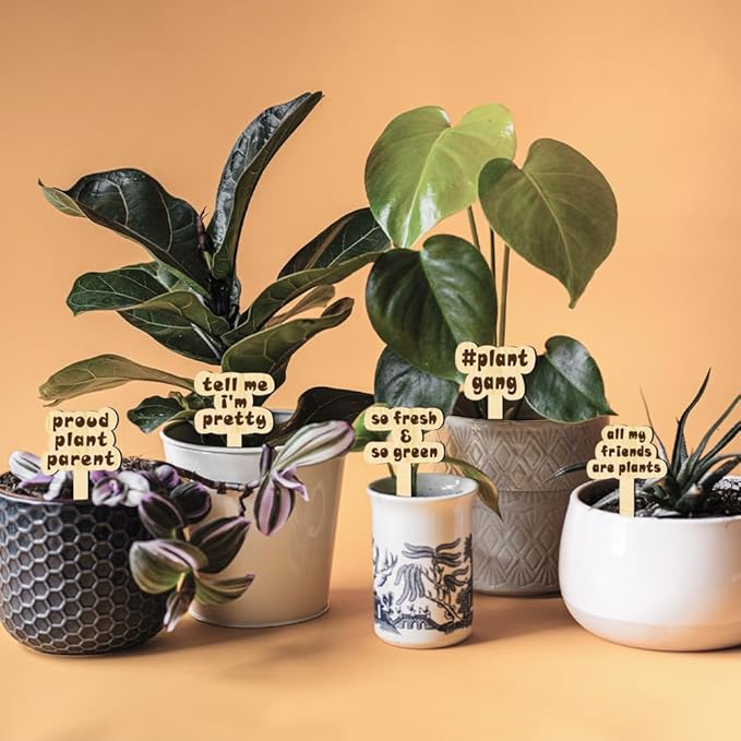 arricraft 15 Pcs Joke Punny Plant Labels, Wooden Markers T Type Tags Garden Labels with Printed Funny Phrase Wood Garden Stakes for Indoor and Outdoor Potted Seed Vegetable Unique Funny Gifts
