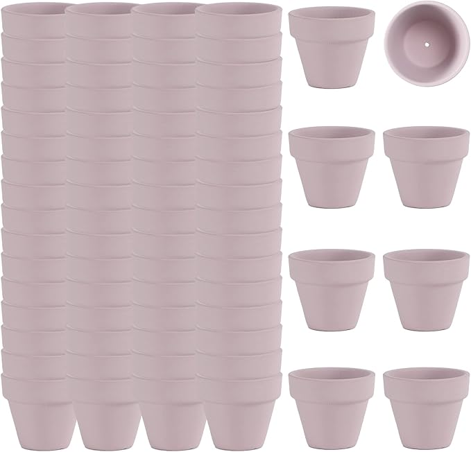 2 Inch Pink Terracotta Pots Pack of 72 - Mini Clay Pot with Drainage Hole for Tiny Cactus Herb lithop, Small Succulent Planter Nursery Plant Pot for Windowsill, Cactus Plant, Crafts, Wedding Favors