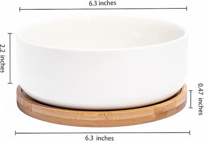 LANKER 6.3 Inch Round White Ceramic Succulent Planter Pot Decorative Cactus Plant Pot Flower Container with Bamboo Tray (Round 6.3Inch)