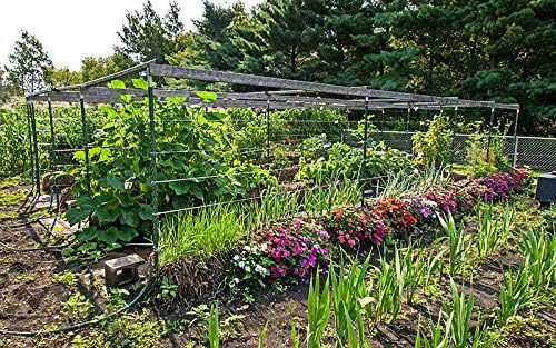 Straw Bale Gardening Five Bale Preparation kit with 100% Organic Formulation Blood Meal 18 lbs Includes Bacteria and Fungi Spores