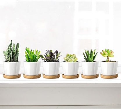 Tosnail 12 Pack 2.5 Inch Small Succulent Pots with 12 Bamboo Trays, Round White Ceramic Mini Plant Pots, Tiny Succulent Planters, Cactus, Flower, Air Plant Containers, Modern Home and Office Decor