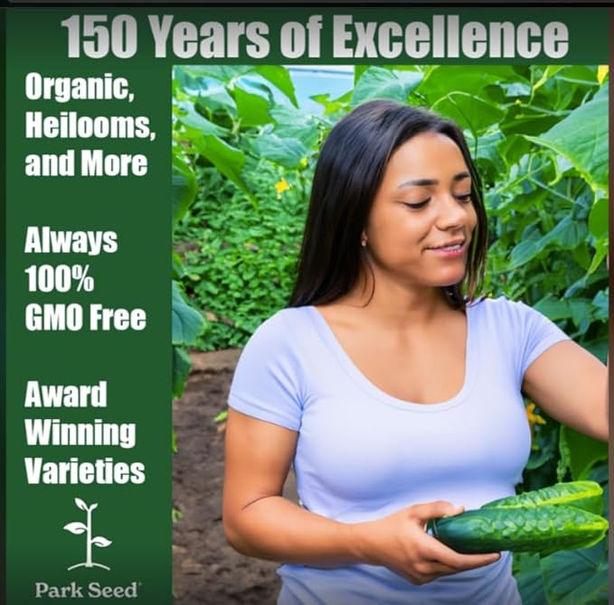 Park Seed Variety of Cucumber Seeds, Planting Cucumbers, Vegetable Seeds, Easy to Grow, Non-GMO, Perfect for Harvesting, Organic Paraiso F1, Pack of 10