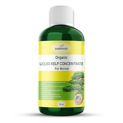 Organic Premium Seaweed Fertilizer for All Bonsai - Liquid Kelp Plant Food - Nutrient-Rich Liquid Plant Food & Soil Enhancer for Growth Control (16 OZ)