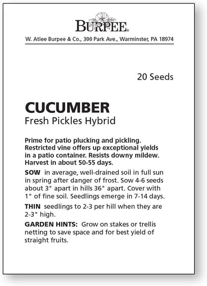 Burpee Fresh Pickles Pickling Cucumber Seeds 20 seeds
