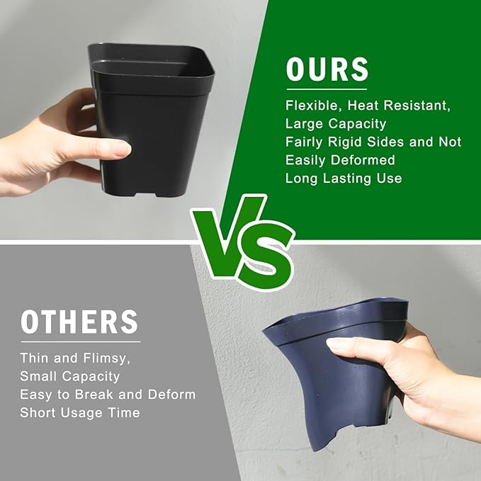 June Fox Plastic Seedling Pots, 60 Pack Square Nursery Pots 4 Inch, Small Plant Pots with Drainage Holes for Seedlings, Succulents, Cuttings (Black)