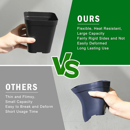 June Fox Plastic Seedling Pots, 60 Pack Square Nursery Pots 4 Inch, Small Plant Pots with Drainage Holes for Seedlings, Succulents, Cuttings (Black)