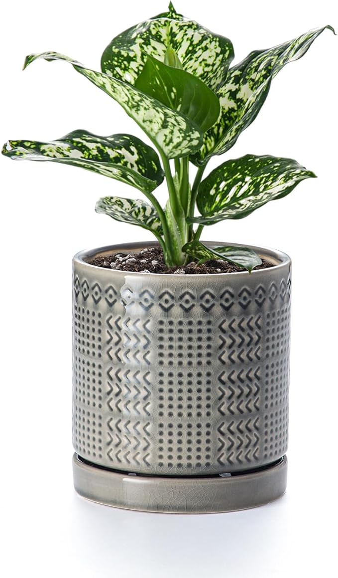 Indoor-Outdoor Ceramic Plant Pots: 6 Inch Flower Pots with Drainage Hole & Saucer - Decorative Ceramic Pots for Plants Herbs Succulents - Home Garden Patio Lawn Use