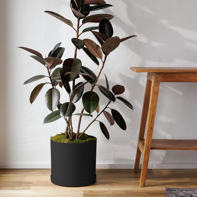 Bloem Mathers Round Planter with Saucer Tray: 12" - Black - Modern Design, Durable Plastic Pot, Removable Saucer, for Indoor & Outdoor Use, Gardening, 5.8 Gallon Capacity