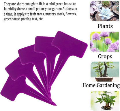 Ameolale 200PCS Plastic Nursery Garden Plant Labels - Waterproof Potted Plant Tags Reusable Seeds Markers T-Type Stakes - Eco Friendly for Vegetables Herb Flower Greenhouse(Purple)