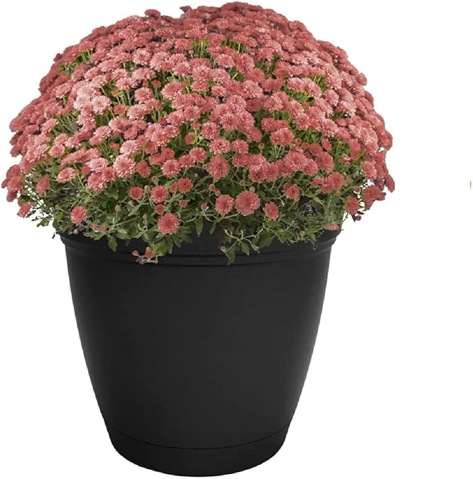 The HC Companies Eclipse Round Planter with Saucer - Outdoor & Indoor Plant Pot with Drainage Holes - Lightweight, UV-Resistant Plastic Pots for Plants, Flowers & Herbs (16" Black, Pack of 1)