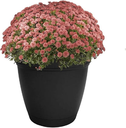 The HC Companies Eclipse Round Planter with Saucer - Outdoor & Indoor Plant Pot with Drainage Holes - Lightweight, UV-Resistant Plastic Pots for Plants, Flowers & Herbs (12" Black, Pack of 1)