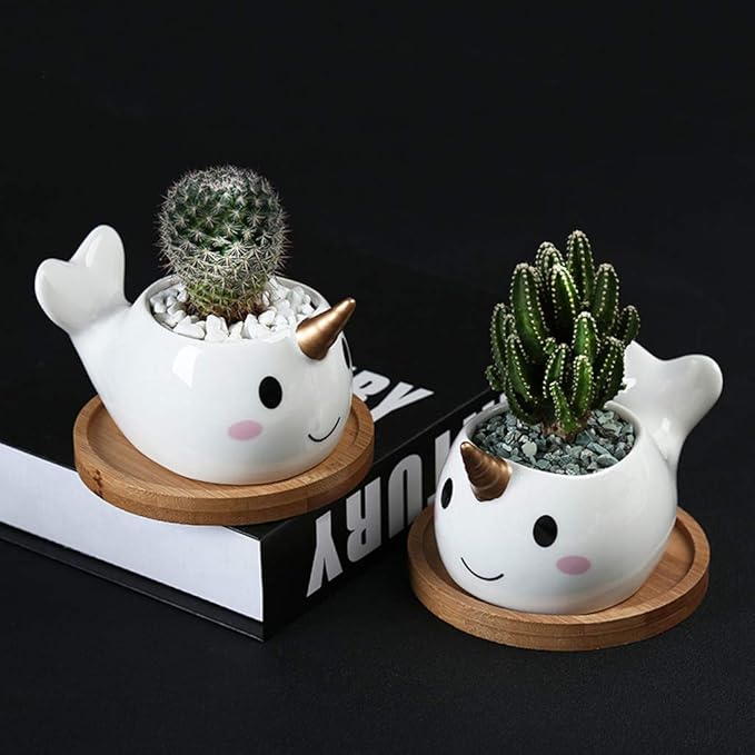Cute Narwhal Succulent Planter Pot with Drainage Tray, Small White Ceramic Cactus Flower Container, Animal Whale Indoor Air Plants Holder
