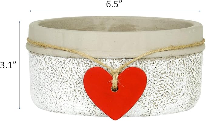 Classic Home and Garden 280000P-396 Heart Bowl Planter, Whitewash
