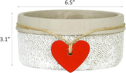 Classic Home and Garden 280000P-396 Heart Bowl Planter, Whitewash