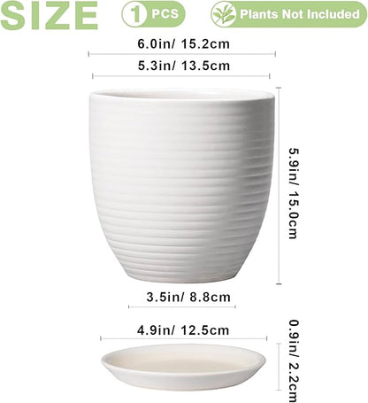 Ceramic Pots for Plants - 6 Inch Plant Pot with Drainage Hole and Saucer, Round Planters for Indoor Outdoor, Flower Pots, Modern Planter, Home Office Room Decor, Gifts for Plant Lovers, White