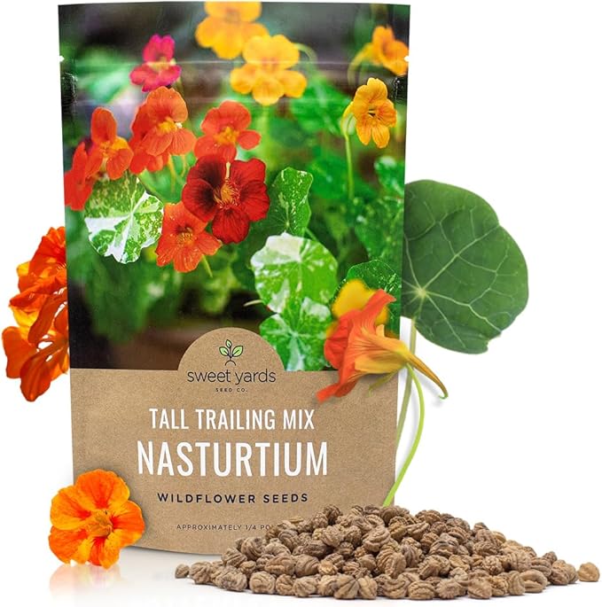 Nasturtium Seeds – Mixed Colors – Bulk Quarter Pound Bag – Over 900 Open Pollinated Non-GMO Flower Seeds – Tropaeolum majus