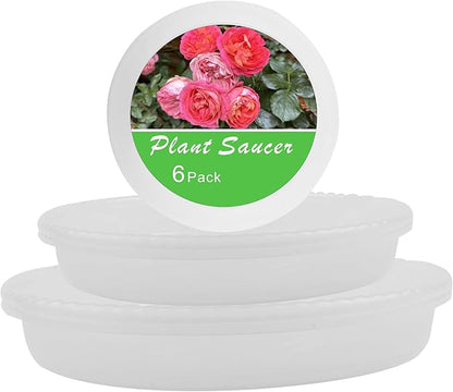 6 Pack Plant Saucers of 6 inch & 8 inch & 10 inch, Durable Plastic Plant Trays for Indoors, Clear Plastic Flower Plant Pot Saucer Pot Tray