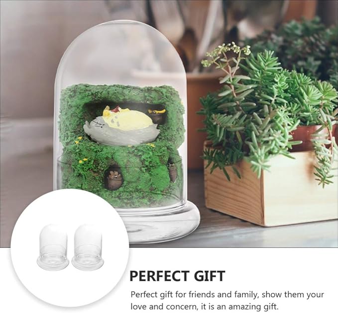 Cabilock 2pcs Clear Glass Bell Jar Cloche Dome Display Centerpiece Decorative Case Tabletop Containers Mini Glass Terrarium Garden Vases for Ferns Succulents Bromeliads