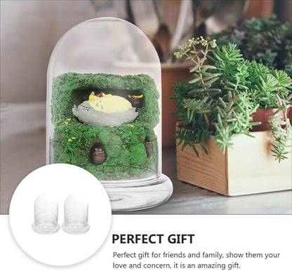 Cabilock 2pcs Clear Glass Bell Jar Cloche Dome Display Centerpiece Decorative Case Tabletop Containers Mini Glass Terrarium Garden Vases for Ferns Succulents Bromeliads