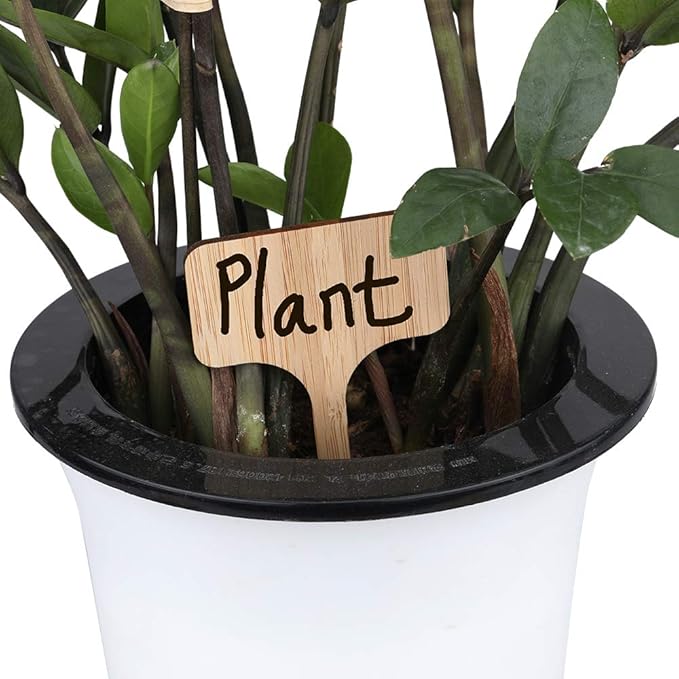 KINGLAKE 60 Pcs Bamboo Plant Labels, Garden Labels, Garden Plant Markers, T-Type Tags Nursery Labels, Wood Plant Labels, Waterproof Signs for Vegetable Plants with a Marker Pen