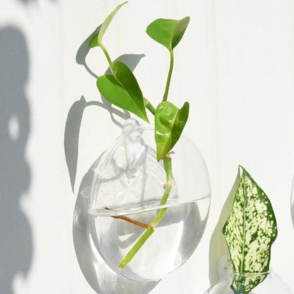 6 PCS Glass Wall Hanging Planters for Flowers, Hydroponics, Indoor Use, Medium, Transparent, Round, Classic Style