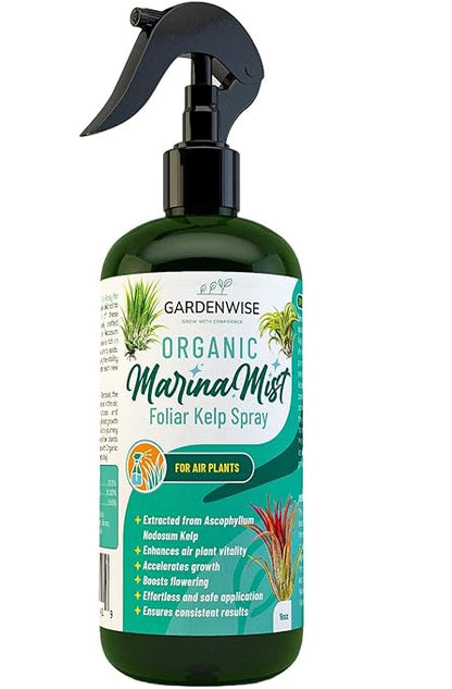 Organic Marina Mist Kelp Air Plants Fertilizer Spray | Plant Food for Tillandsia Air Plants | Air Plant Mister - Enhances Bloom, Vitality, and Pup Growth (8 OZ)