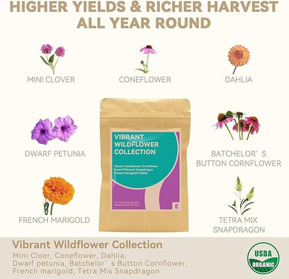 inbloom Flower Seed Pod Kit for AeroGarden, iDoo, Ahopegarden, GARDENCUBE, MUFGA Hydroponics, 12 Pods (350+ Seeds with Coneflower, Petunia, Snapdragon, French Marigold, Dahlia)
