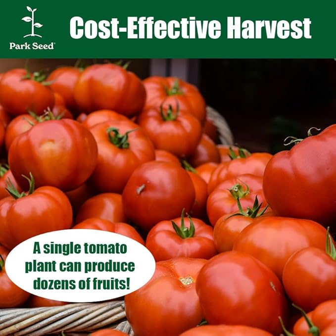 Park Seed Variety of Tomato Seeds, Planting Vegetables, Easy to Grow, Non-GMO, Perfect for Harvesting, Whopper CR Improved Hybrid, Pack of 250