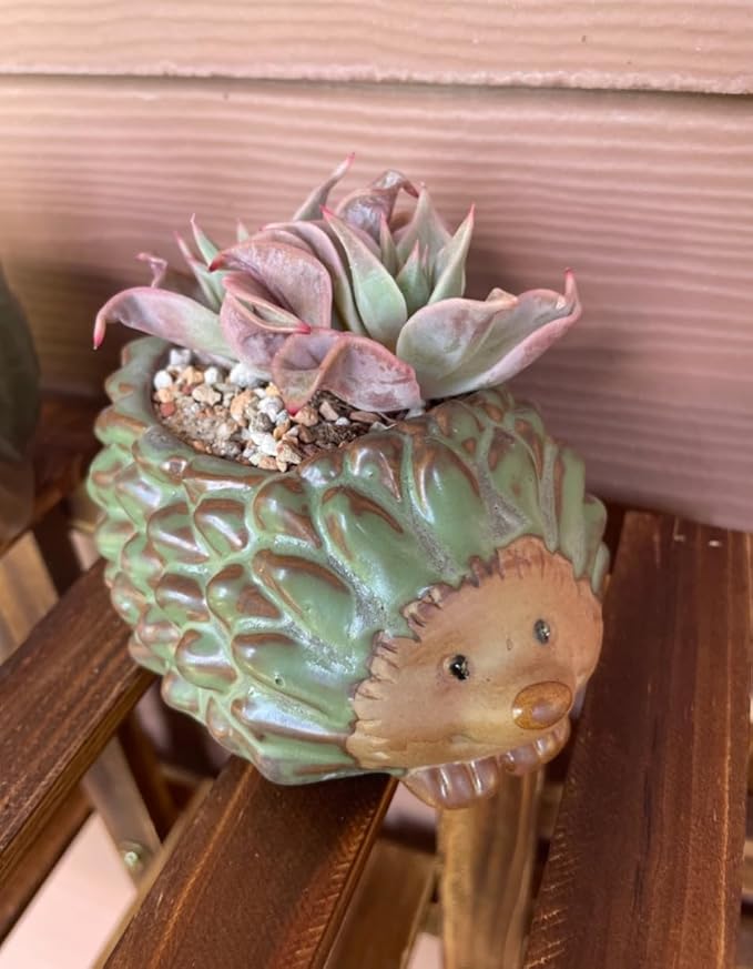 Decorative Ceramic Planter with Bamboo Base Indoor Plant Holder Animal Shaped Ceramic Succulent Pot with Drainage Mini Succulent Plants Cactus Planter (Small Hedgehog)