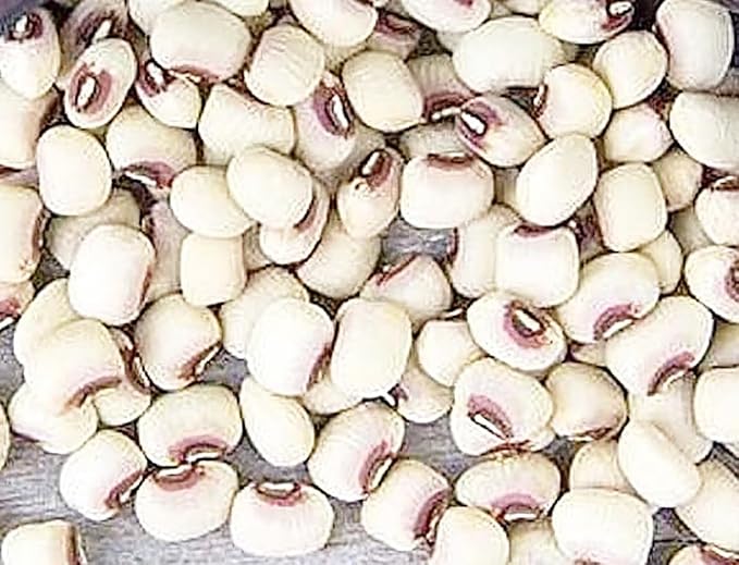 Black Eyed Peas Heirloom Treated Seeds - Non GMO - Neonicotinoid-Free