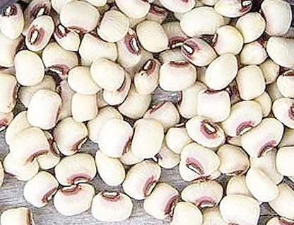 Black Eyed Peas Heirloom Treated Seeds - Non GMO - Neonicotinoid-Free