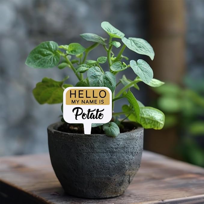 arricraft 15 Pcs Colorful T-Shaped Acrylic Plant Labels, Name Presentation Vegetable Theme Waterproof Garden Stake Labels for Indoor Outdoor Potted Plants Nursery Marker Decoration 4.01x2.68 inches