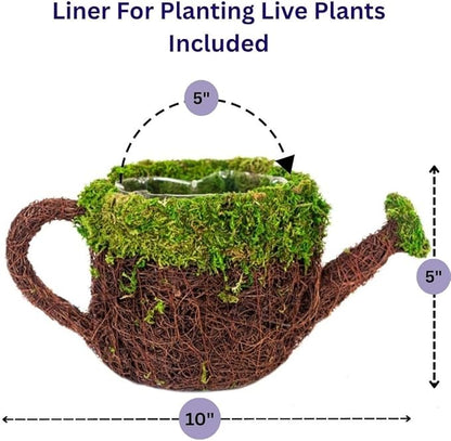SuperMoss (55259) 5" Deco Watering Can Planter Basket, Small