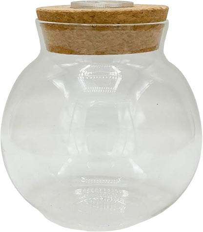 Silver Circle Products Unique Gardener: Glass Terrarium - 4'' with Cork & 3 LEDs - Light Up Cork, Gardening Planter, Glass, for Succulents, Flowers, Herbs & More