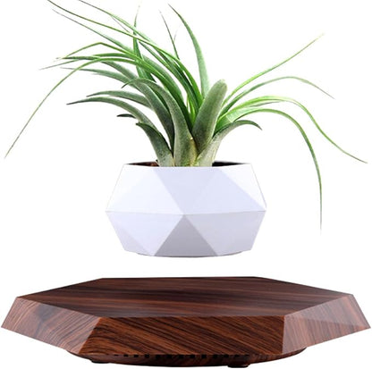 MOOCCI Floating Plant Pot Magnetic Levitating Plant Pot for Succulents, Air Bonsai and Fake Flowers and Plants, Unique Decor for Home, Office and Desk, Father's Day (Brown)