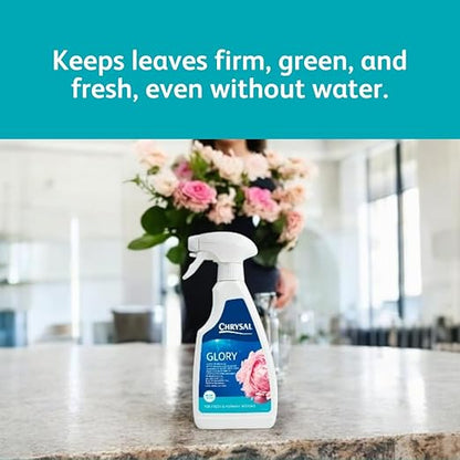Chrysal Glory Flower and Foliage Finish — Floral Supplies for Fresh Flowers — Spray for Fresh Cut Flower Arrangements — Cut Flower Preservative Spray — Ideal Florist Supplies (2 Pack)
