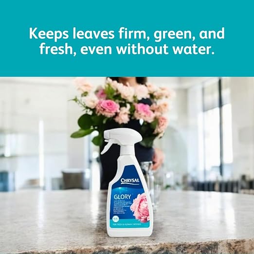 Chrysal Glory Flower and Foliage Finish — Floral Supplies for Fresh Flowers — Spray for Fresh Cut Flower Arrangements — Cut Flower Preservative Spray — Ideal Florist Supplies (3 Pack)